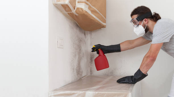 Professional Basement Mold Remediation technician working in Sparta, GA
