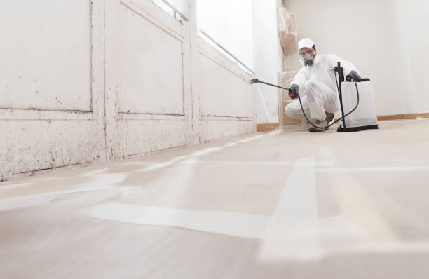 24/7 Emergency Basement Mold Remediation experts in Sparta, GA